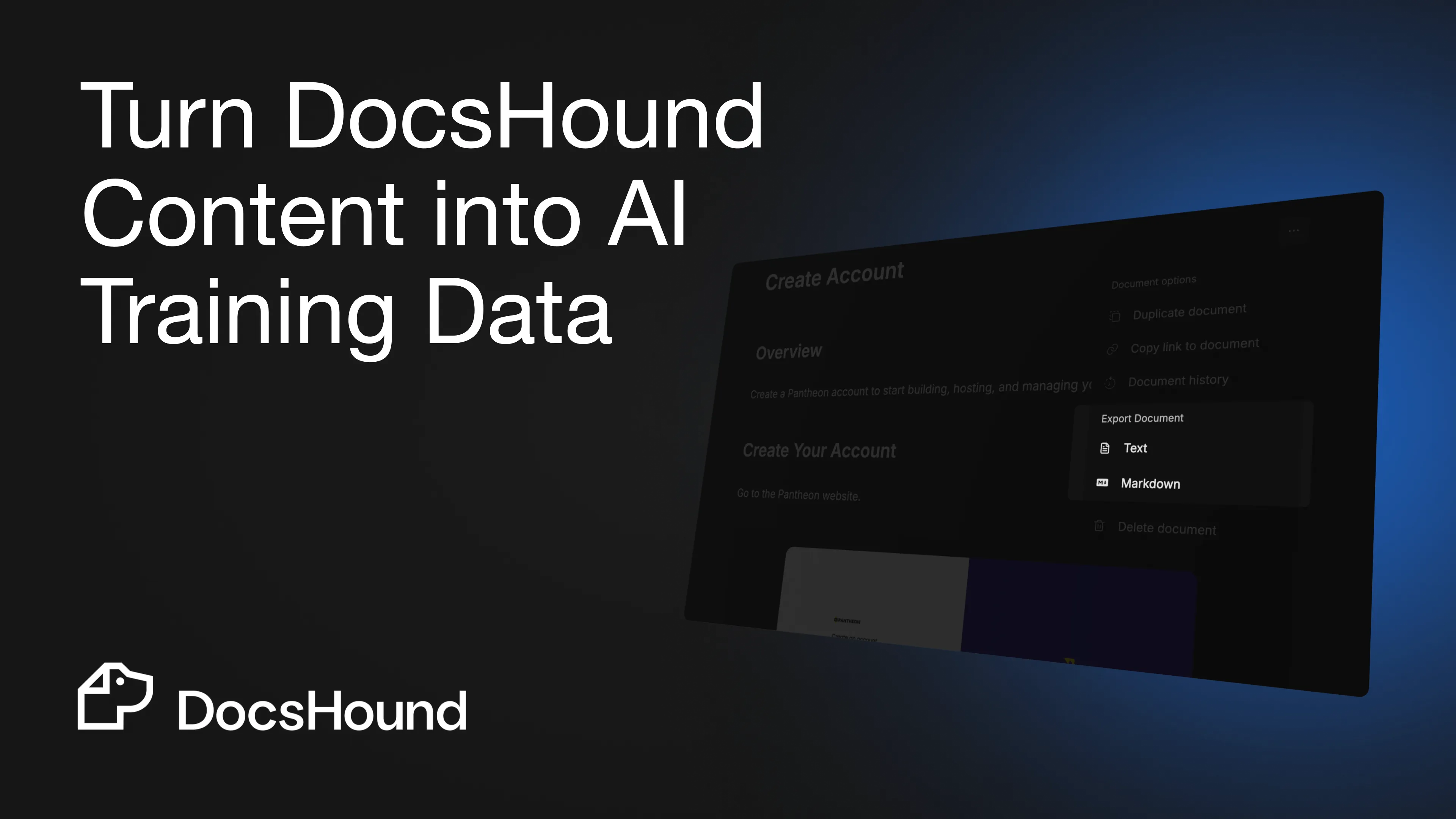DocsHound export options interface
